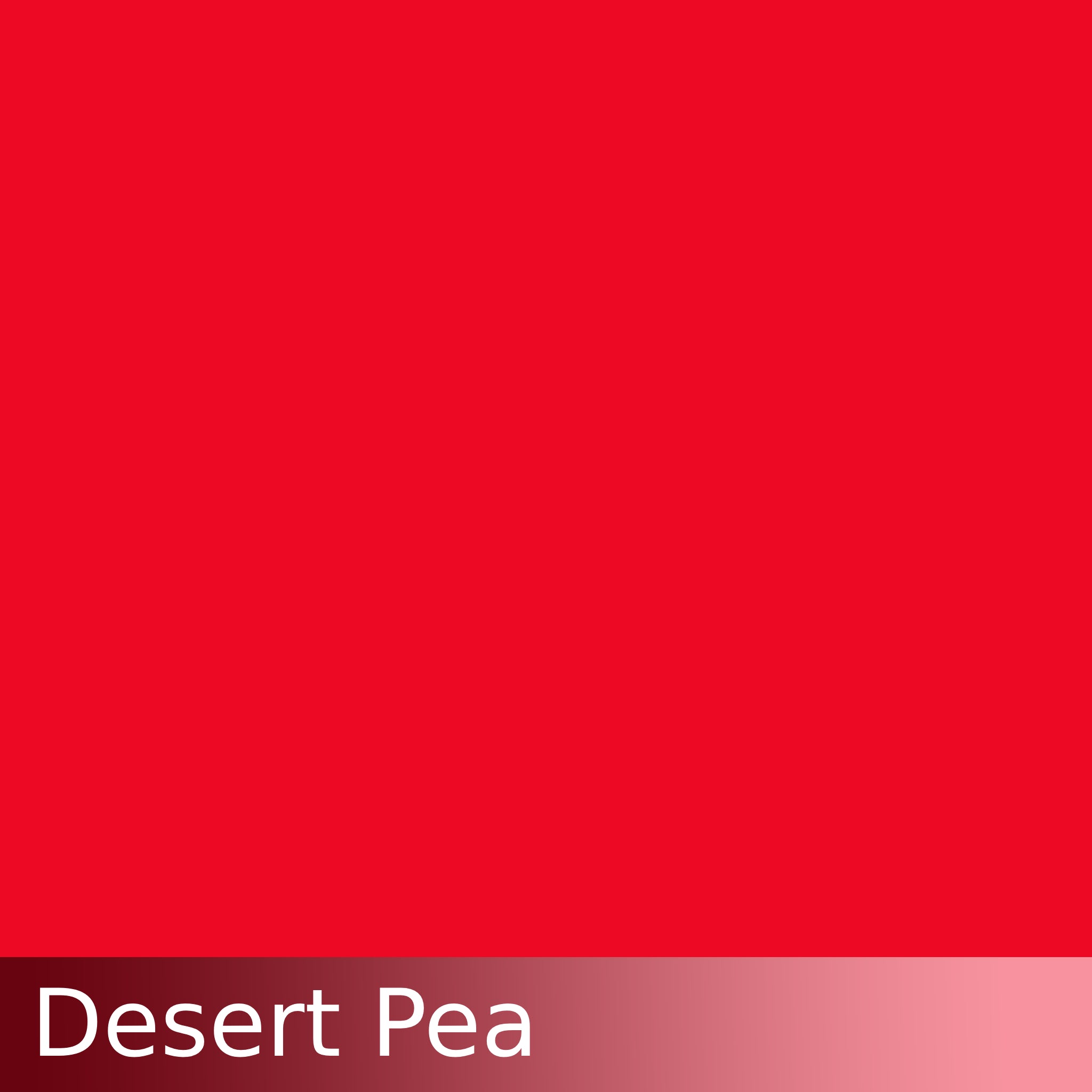 Kraftkolour Dye: Desertpea