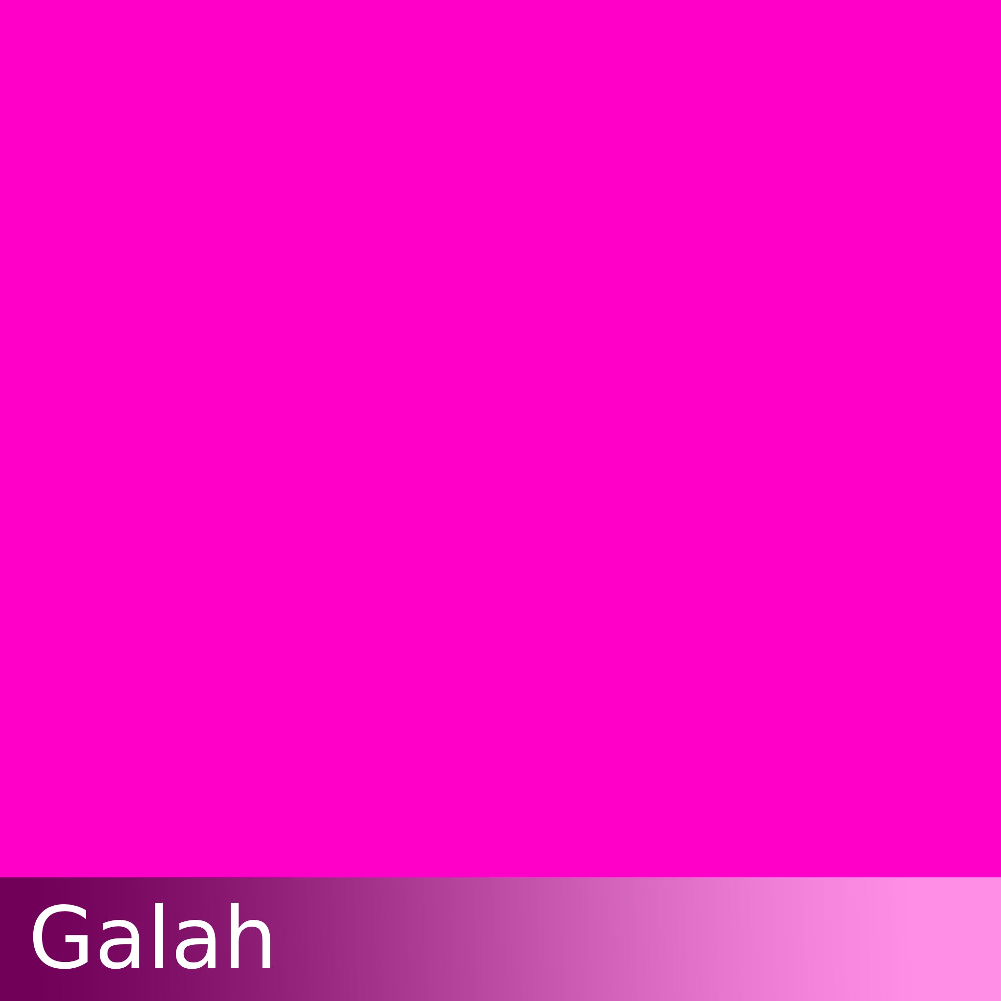 Kraftkolour Dye: Galah