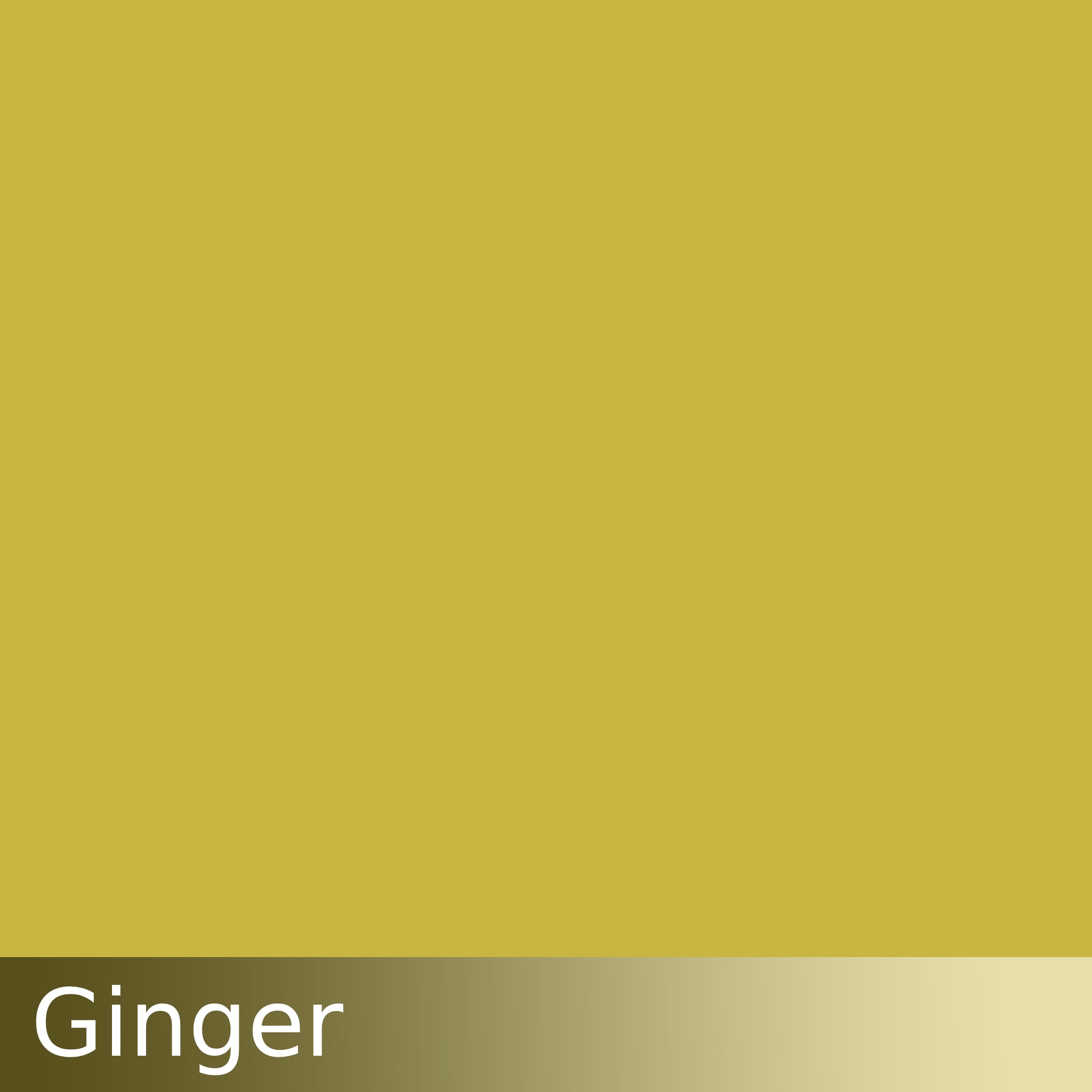 Kraftkolour Dye: Ginger