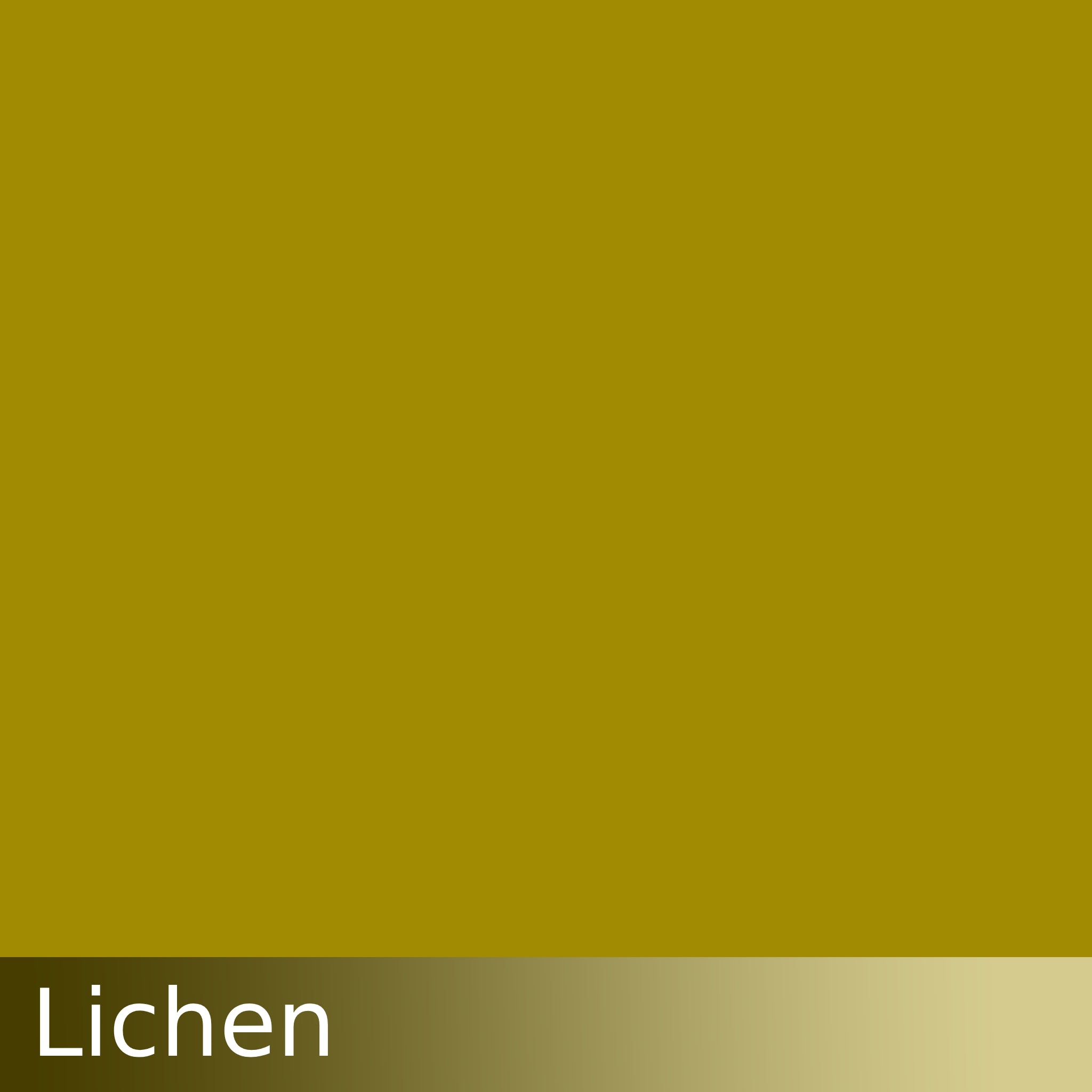 Kraftkolour Dye: Lichen