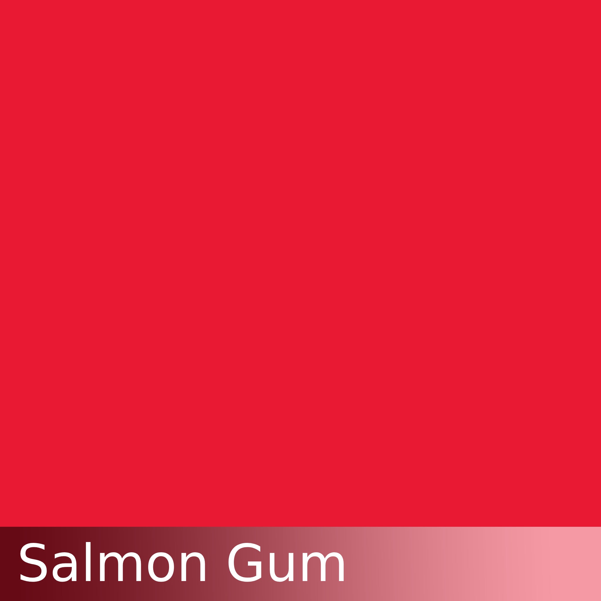 Kraftkolour Dye: Salmon Gum