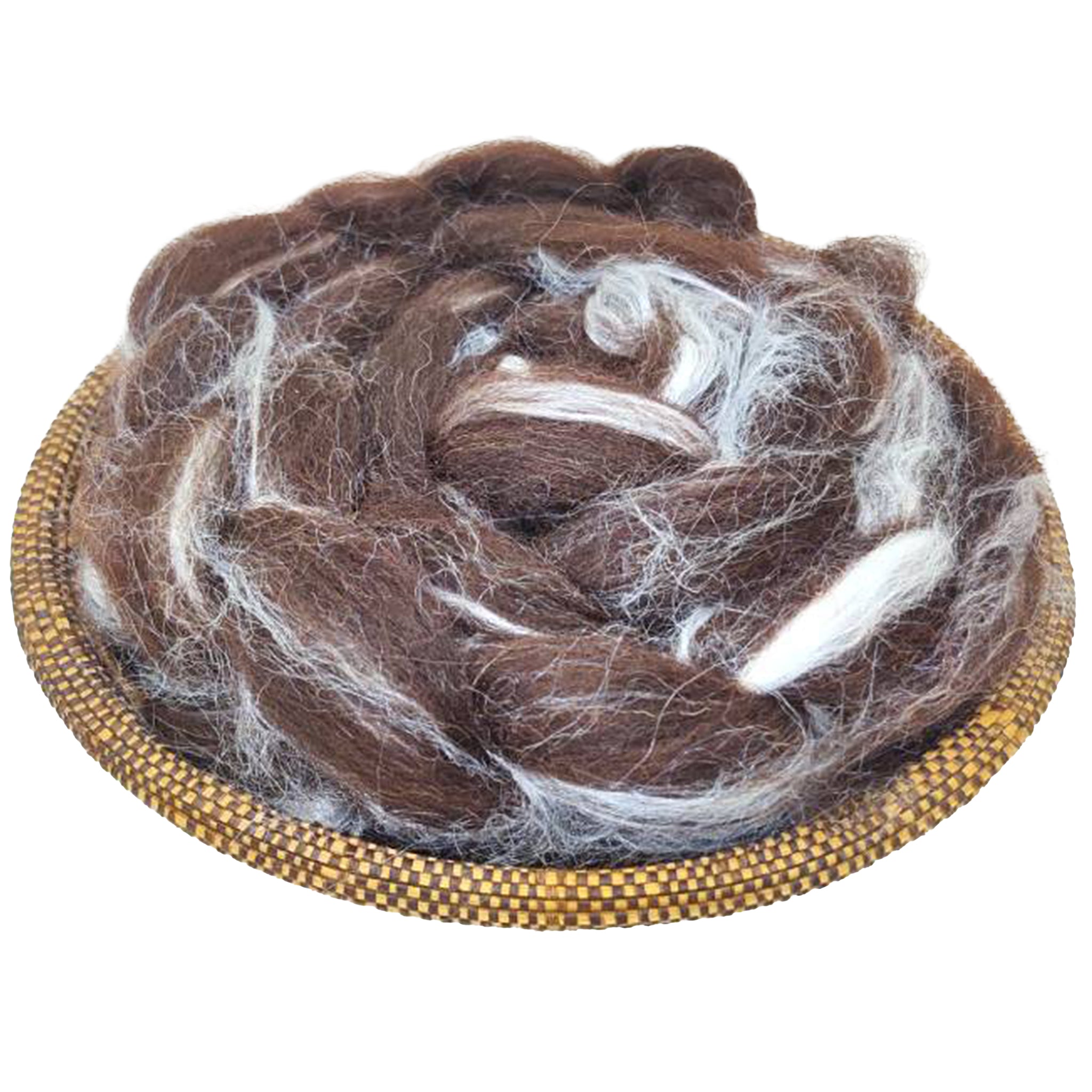 Black Welsh And Silk