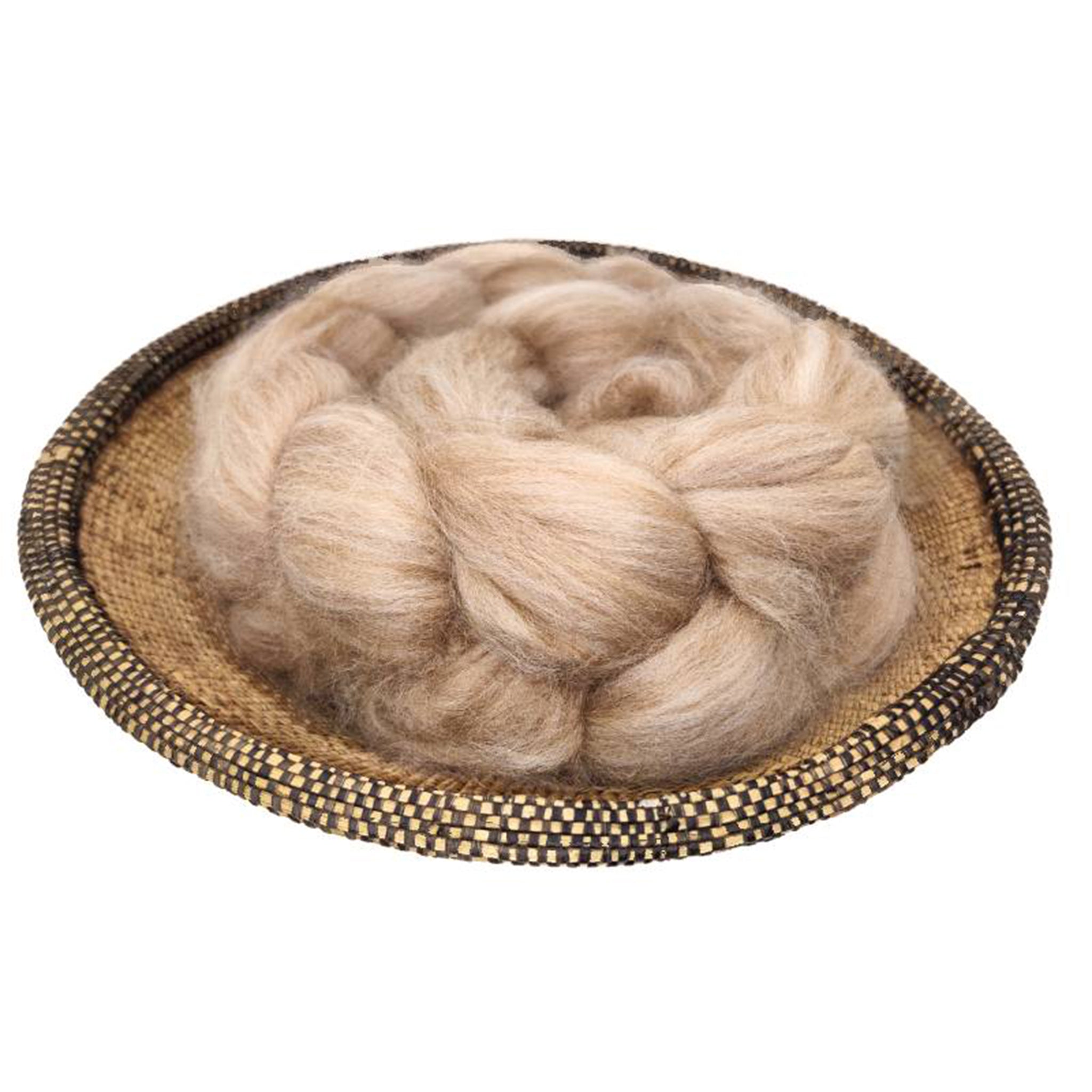 Camel And Merino