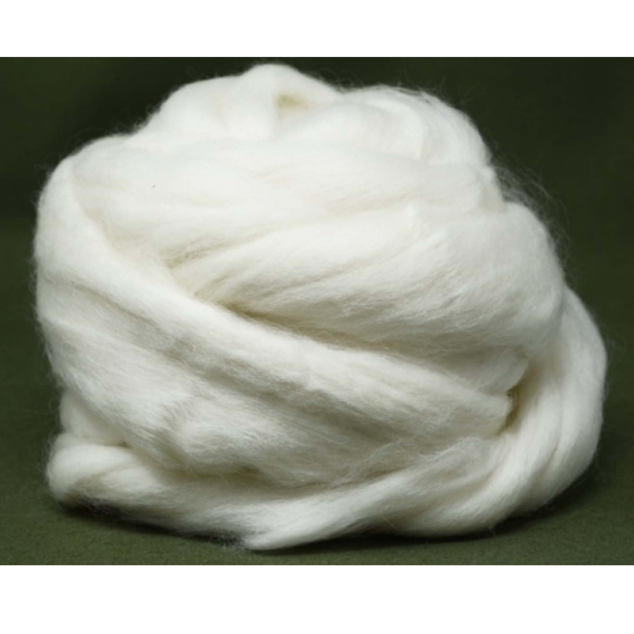 White Corriedale