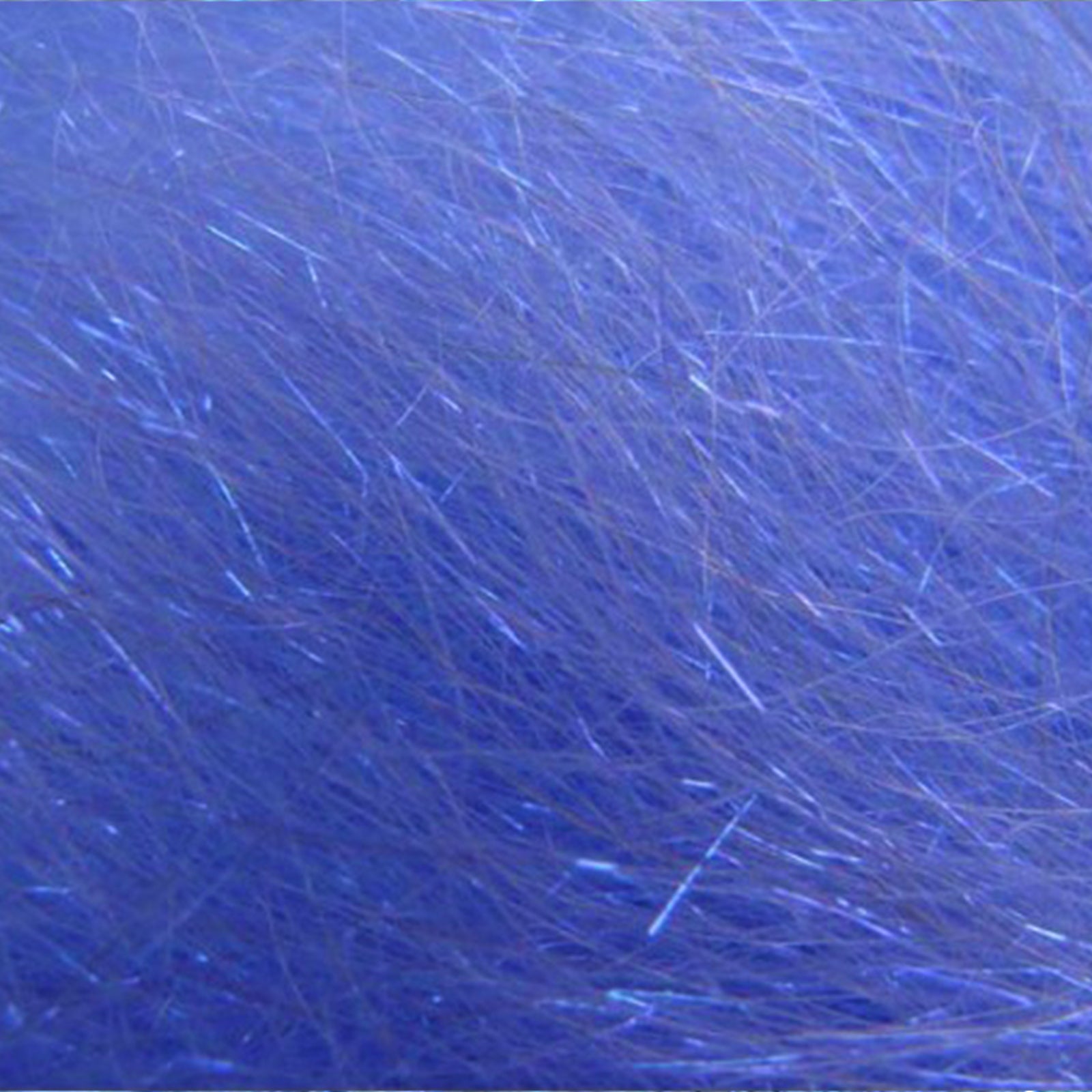 Angelina: Calypso Blue