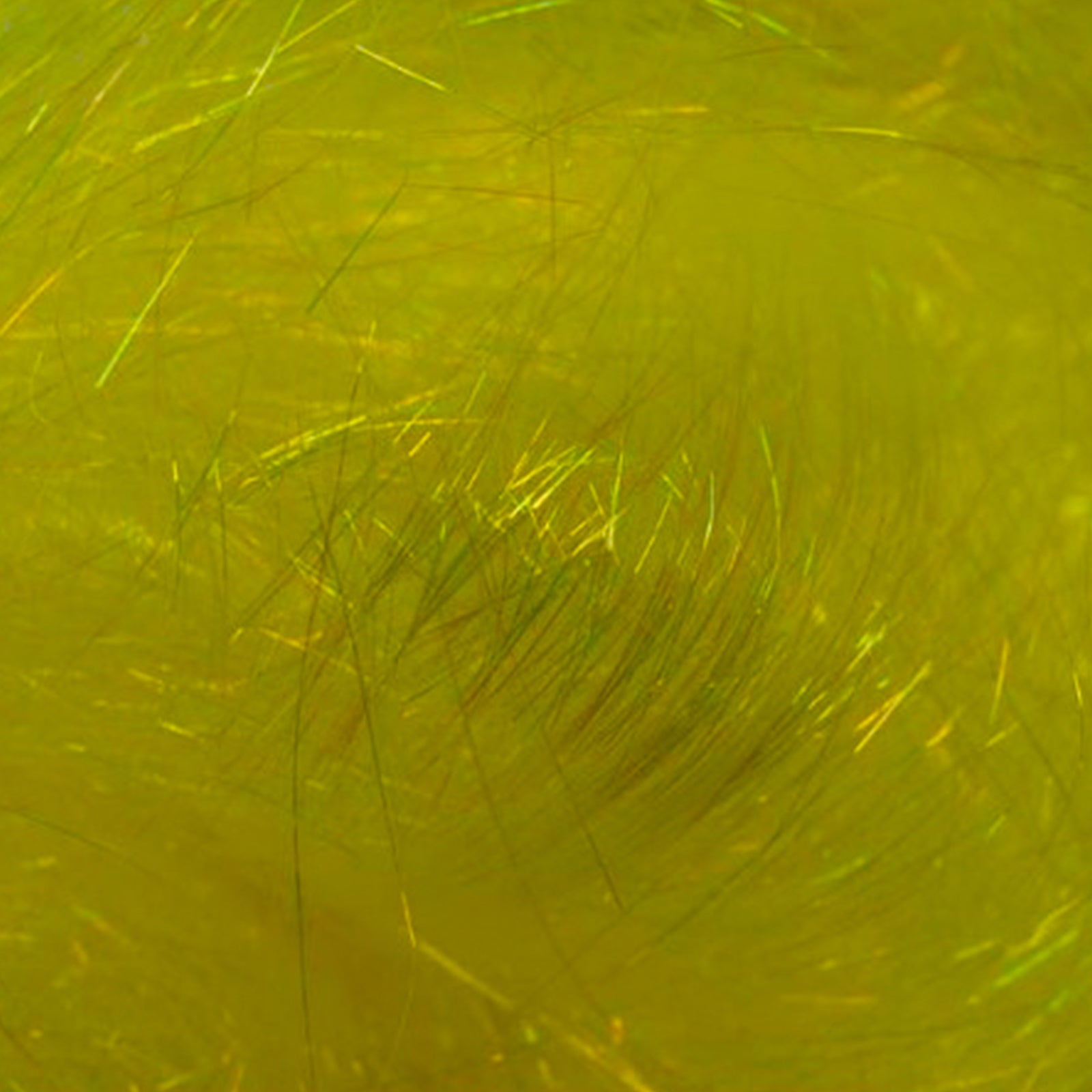Angelina: Lemon Sparkle