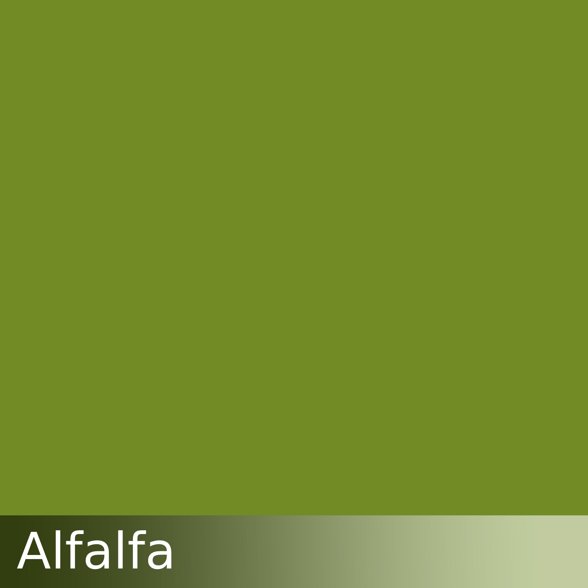 Kraftkolour Dye: Alfalfa
