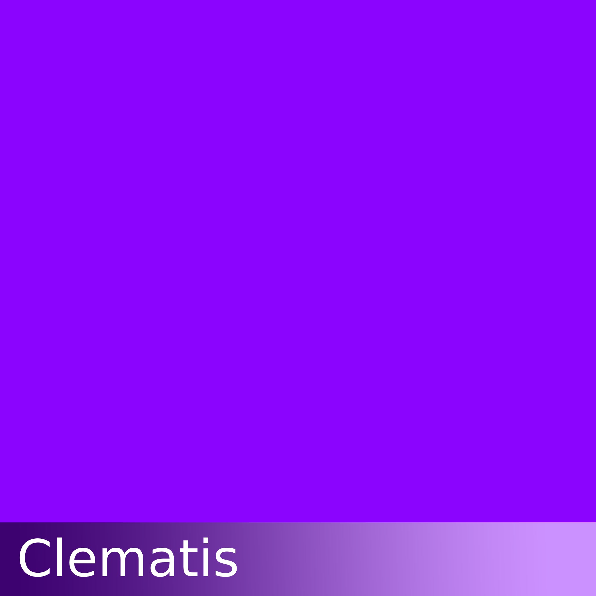Kraftkolour Dye: Clematis