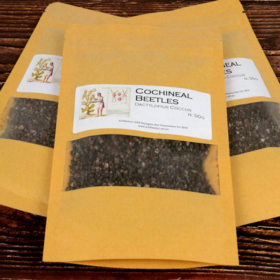 Natural Dye - Cochineal Beetles
