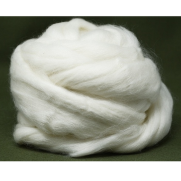 White Corriedale