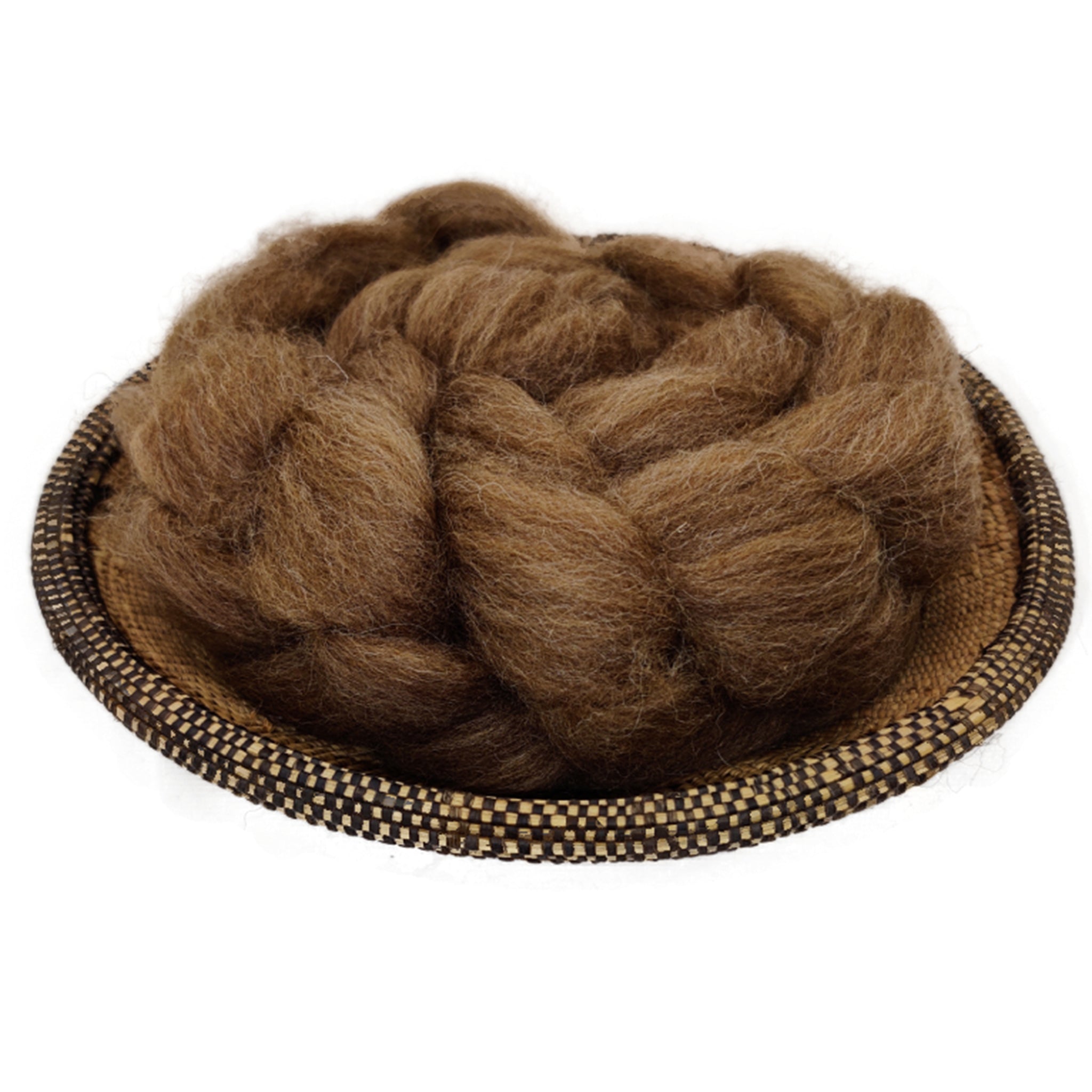Shetland Moorit